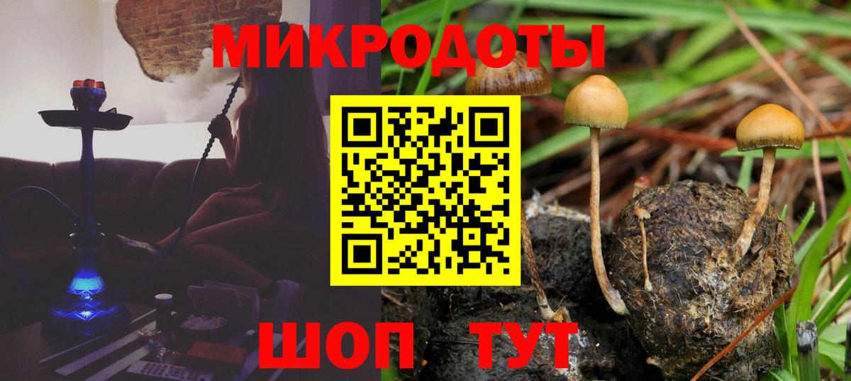 Галлюциногенные грибы Cubensis  Псилоцибиновые грибы Psilocybine cubensis  Вход с VPN  Шатура 